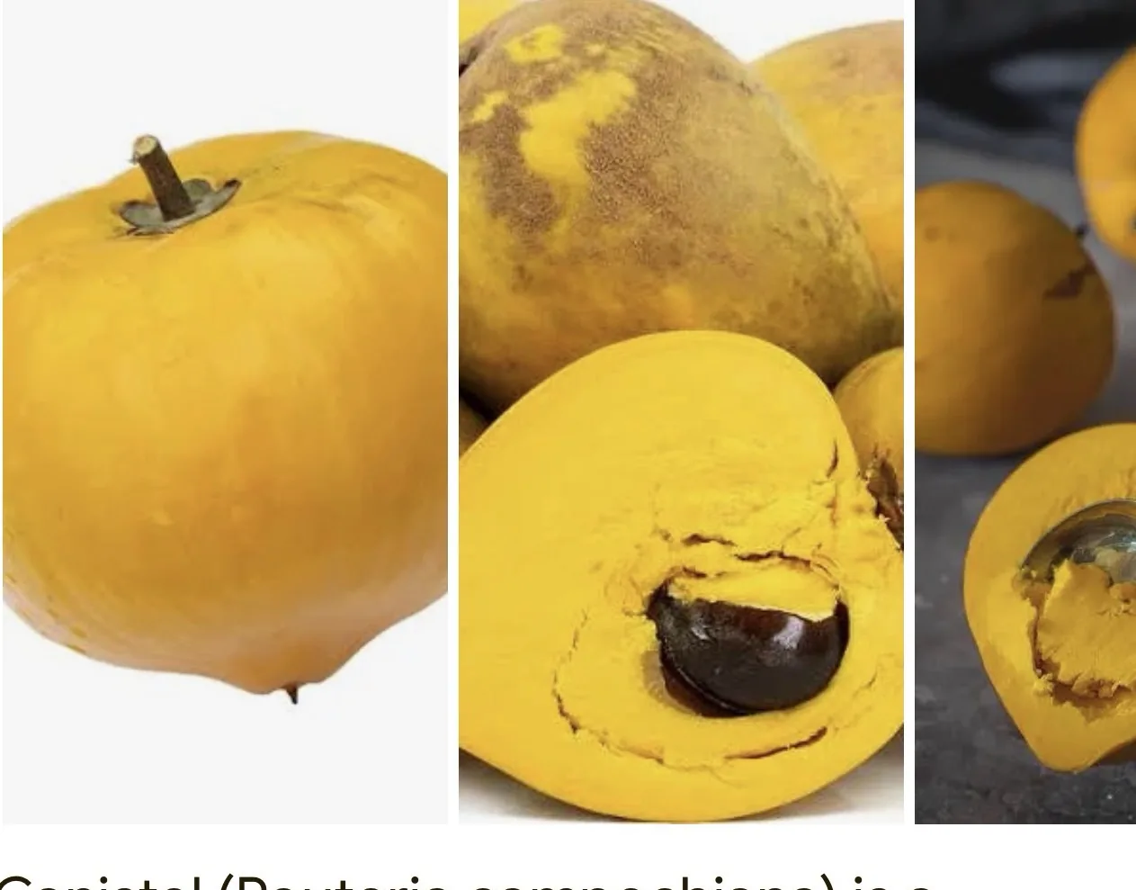 Egg fruit Canister from Thaitown